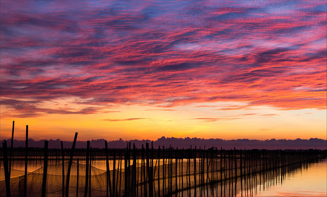 Chan May Port - Tam Giang Lagoon Discovery Tour